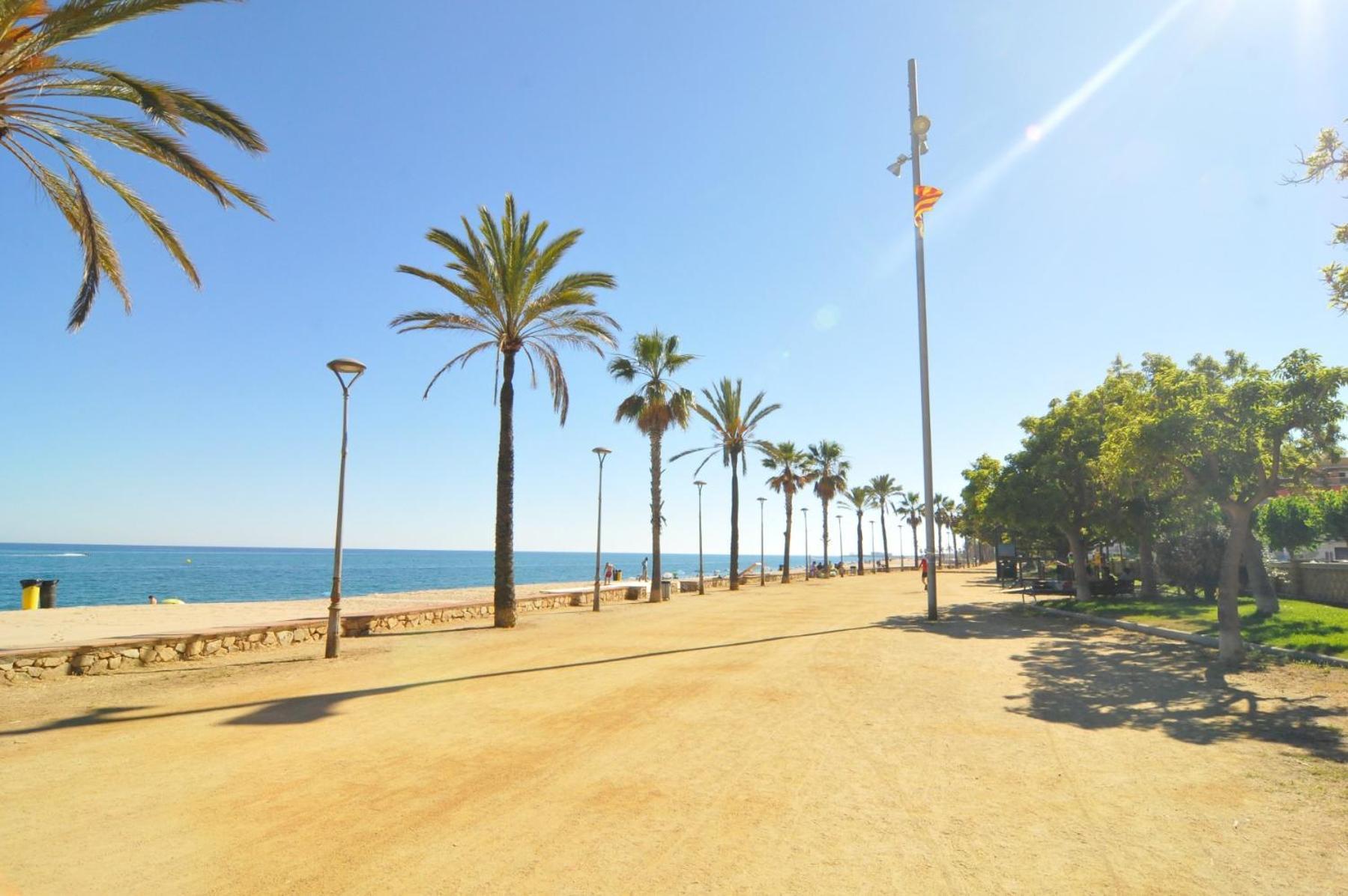 Homeholidaysrentals Palm Beach - Costa Barcelona Canyet de Mar Exterior foto