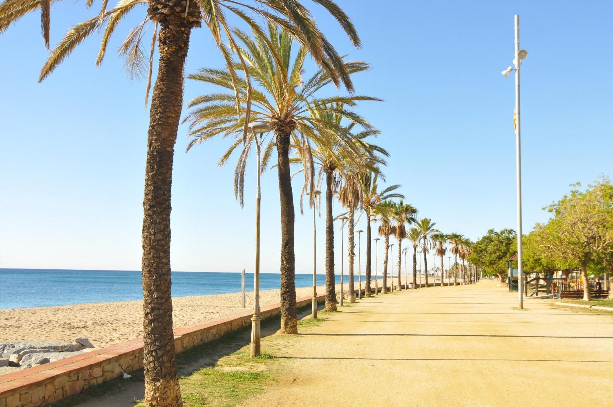 Homeholidaysrentals Palm Beach - Costa Barcelona Canyet de Mar Exterior foto